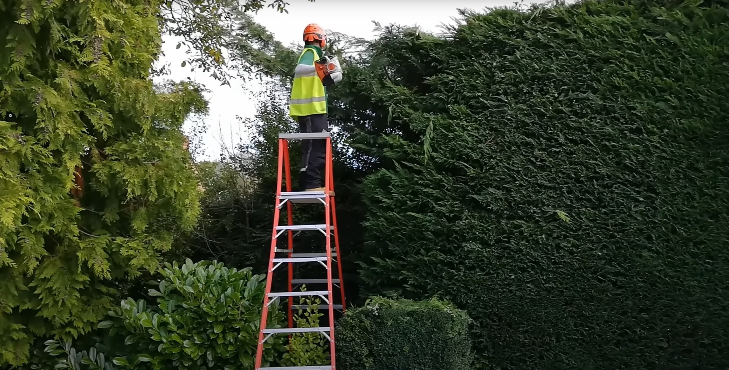 Professional tree service crew trimming trees in Diamond Bar, CA